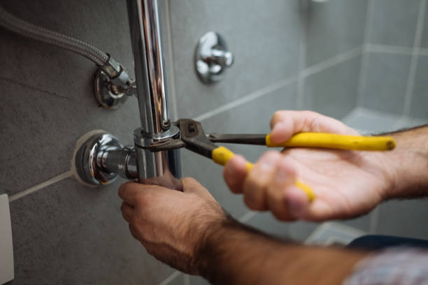 Best Commercial Plumbing Services  in Springfield, IL